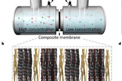 中科院理化所聞利平《ACS Nano》：仿生蠶絲交聯復合膜實現高效滲透能收集