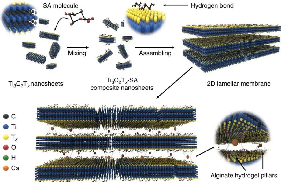 西安建筑科技大學(xué)王磊教授《自然·通訊》：?Ti3C2Tx新用途！實(shí)現(xiàn)100％硫酸鈉截留率和高水滲透性