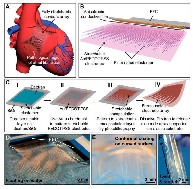 斯坦福大學(xué)鮑哲南團隊：柔性電子新突破！細胞級分辨率心電監(jiān)測，守護人類健康