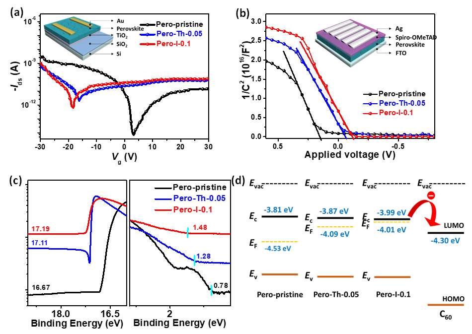 蘇州大學(xué)李耀文教授《AFM》:電子態(tài)調(diào)控新方法助力高效率鈣鈦礦太陽能電池