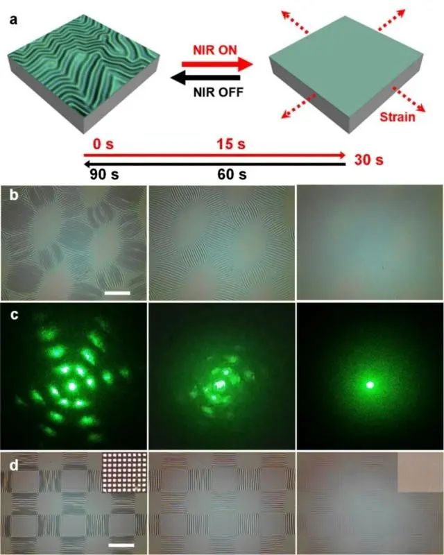 上海交大姜學松、張文明合作：揭示可編程二維表面褶皺圖案調(diào)控力學機制