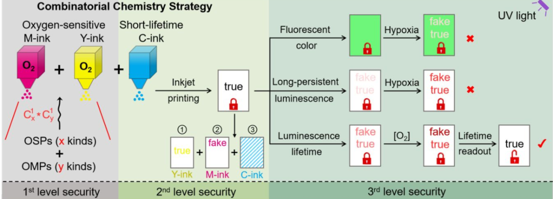 復(fù)旦大學王旭東《JACS》：三級加密！新一代發(fā)光防偽技術(shù)！