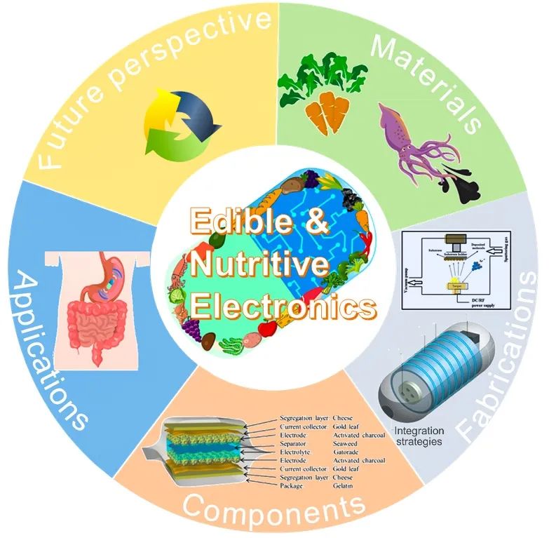 五邑大學(xué)巫瑩柱副教授與亞利桑那州立大學(xué)姜漢卿教授綜述：可食用、有營(yíng)養(yǎng)電子器件：材料、制備方法、器件和應(yīng)用
