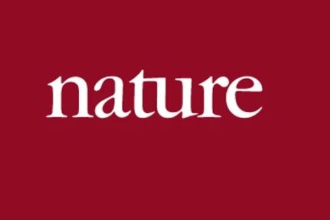 《Nature》：媽媽再也不用擔(dān)心我“脫發(fā)”了！