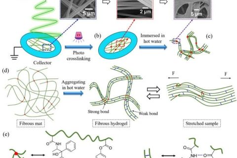 微納米纖維“邂逅”溫敏水凝膠，實現水下超快自恢復性能