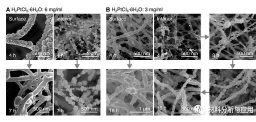 北京科技大學等《ACS Appl. Electron. Mater.》：使用碳納米管支架開發(fā)彈性，堅固和高度多孔的金屬泡沫