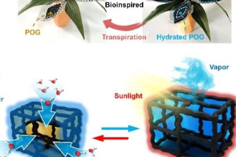 寧波材料所陳濤團隊《Angew》：受鐵蘭啟發(fā)的仿生有機凝膠進行大氣水分收集！