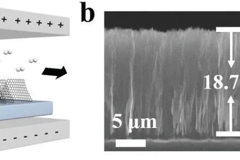 北京大學張錦院士團隊：垂直排列的石墨烯陣列！散熱技術新突破