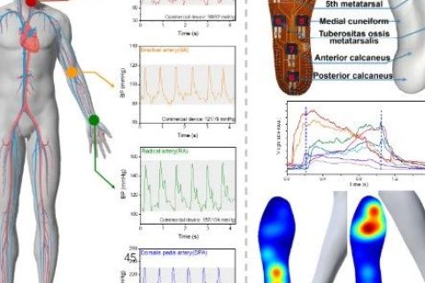 清華大學(xué)任天令團隊《ACS Nano》：在柔性壓力傳感器方面取得突破