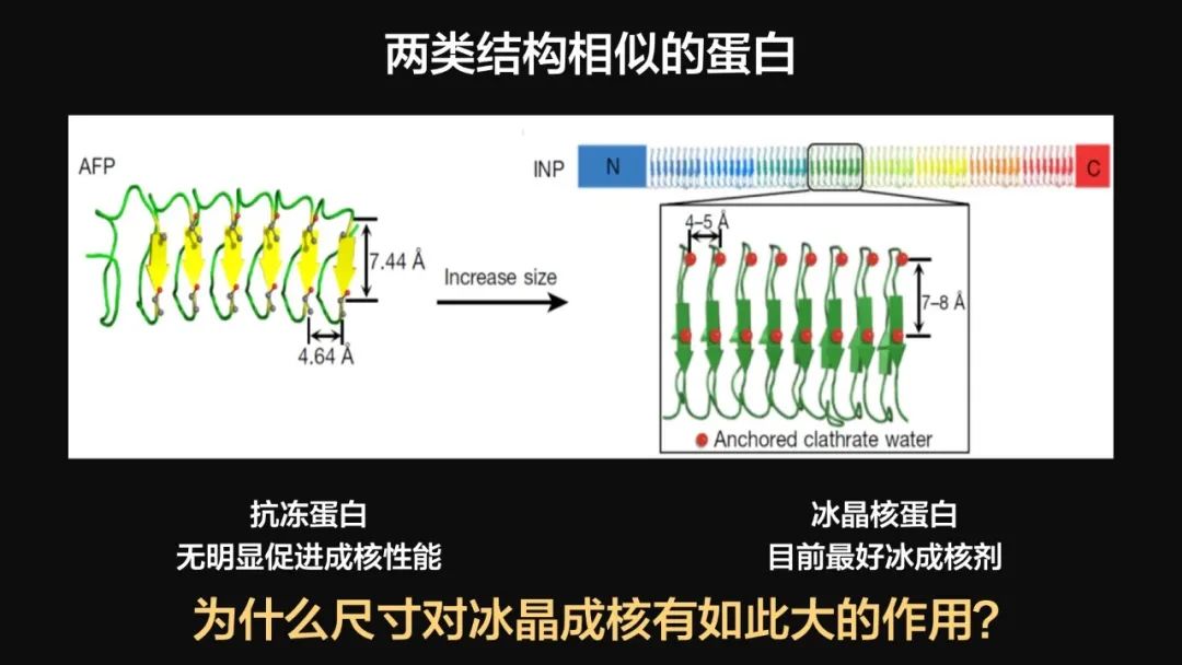 王健君：實(shí)證百年科學(xué)猜想，人體凍存未來(lái)可期