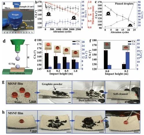 清華大學(xué)鄭泉水院士團(tuán)隊《AFM》：耐磨損、耐沖擊、自清潔的超疏水/超疏油微納復(fù)合材料