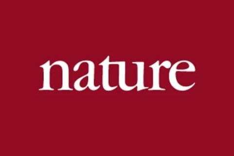 日本在這一領域又取得領先！《Nature》：超導二極管