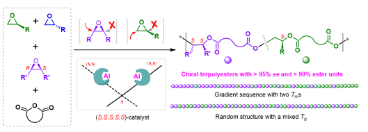 大連理工大學呂小兵教授團隊《PNAS》：在手性聚酯創(chuàng)制領(lǐng)域取得重要進展