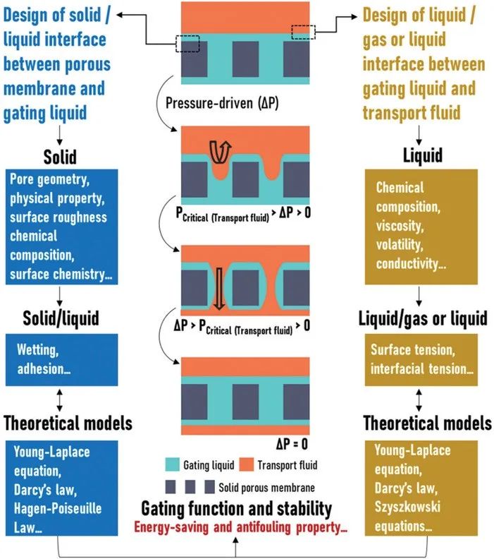 廈門(mén)大學(xué)侯旭課題組綜述：液基多孔膜，微納孔道藏世界，液體門(mén)控通乾坤！