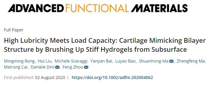 蘭州化物所周峰團隊《AFM》：仿天然軟骨的雙層水凝膠實現(xiàn)高負載與低摩擦！