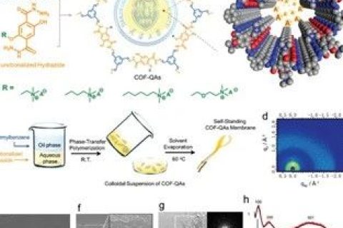 具有最高氫氧化物電導(dǎo)率的COFs膜，實現(xiàn)超快陰離子傳輸