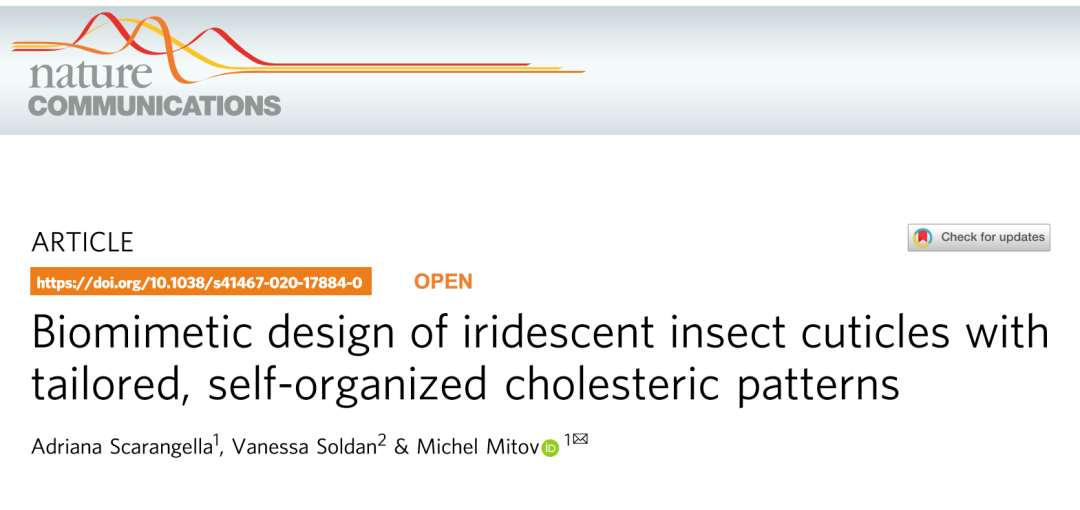 《Nature》子刊：仿昆蟲表皮的膽甾型圖案設(shè)計(jì)用于密碼學(xué)標(biāo)簽！