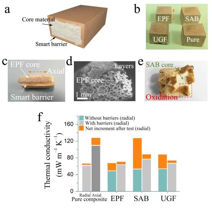 江漢大學(xué)曹一平《ACS Nano?》：仿生新成果！響應(yīng)空氣-水的復(fù)合材料，具有優(yōu)異的隔熱、自修復(fù)和自生長(zhǎng)能力