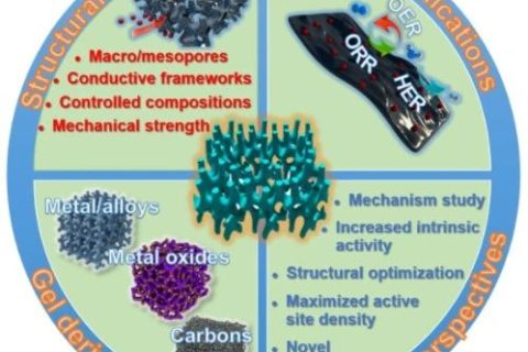 余桂華團隊《AM》：基于新型凝膠電催化劑的電化學能源轉換技術