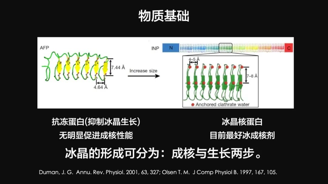 王健君：實(shí)證百年科學(xué)猜想，人體凍存未來(lái)可期