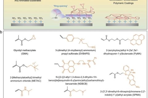 表面涂層領(lǐng)域新突破！一種可控功能化聚合物表面的通用涂層策略