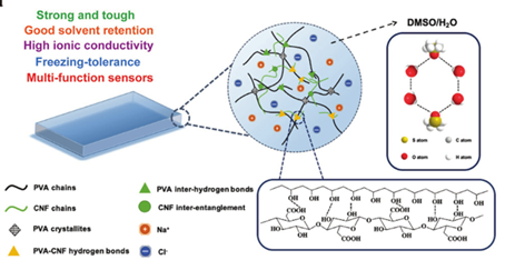 《AFM》：纖維素納米纖維增強(qiáng)離子導(dǎo)電水凝膠：制備簡單，應(yīng)用前景廣泛
