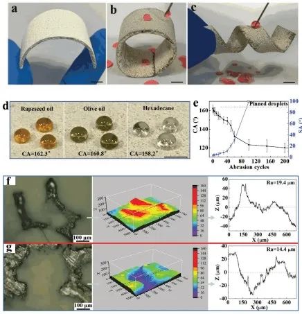 清華大學(xué)鄭泉水院士團(tuán)隊《AFM》：耐磨損、耐沖擊、自清潔的超疏水/超疏油微納復(fù)合材料