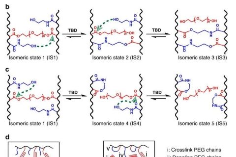 浙大《自然·通訊》：用光可調(diào)控拓撲缺陷制備形狀記憶高分子