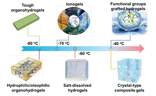 ?如何讓水凝膠不畏嚴寒？《Mater. Horiz.》綜述：在寒冷環(huán)境中保持軟濕材料活性的仿生防凍聚合物水凝膠