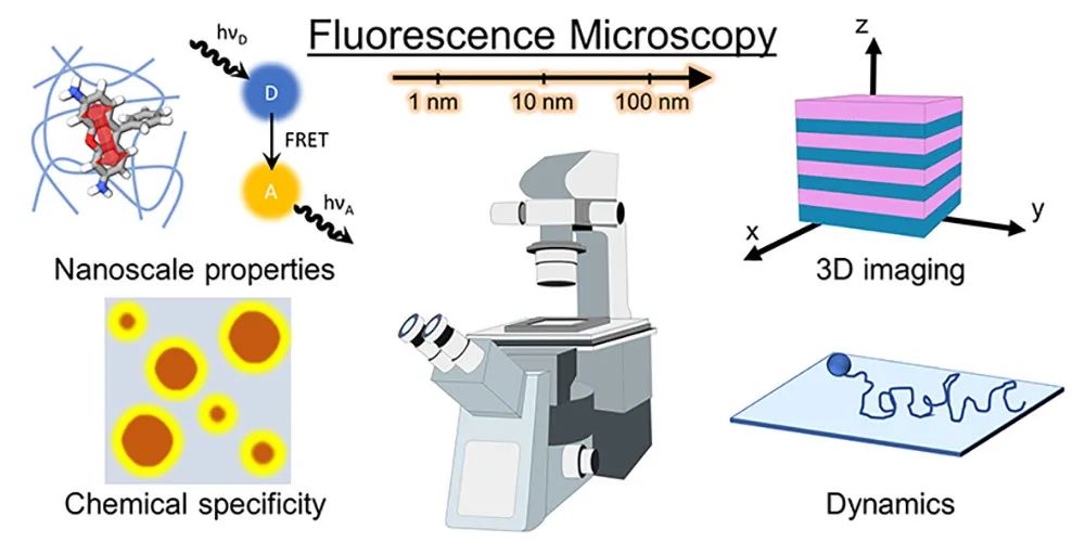 百年高分子系列：熒光技術在高分子的應用和展望