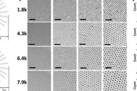 韓國科學(xué)技術(shù)院《ACS Nano》：手把手教你花樣制備納米粒子！