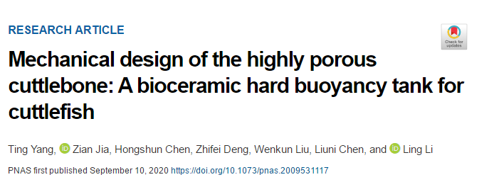 吃墨魚發(fā)了一篇頂刊《PNAS》！墨魚骨的秘密被揭開！