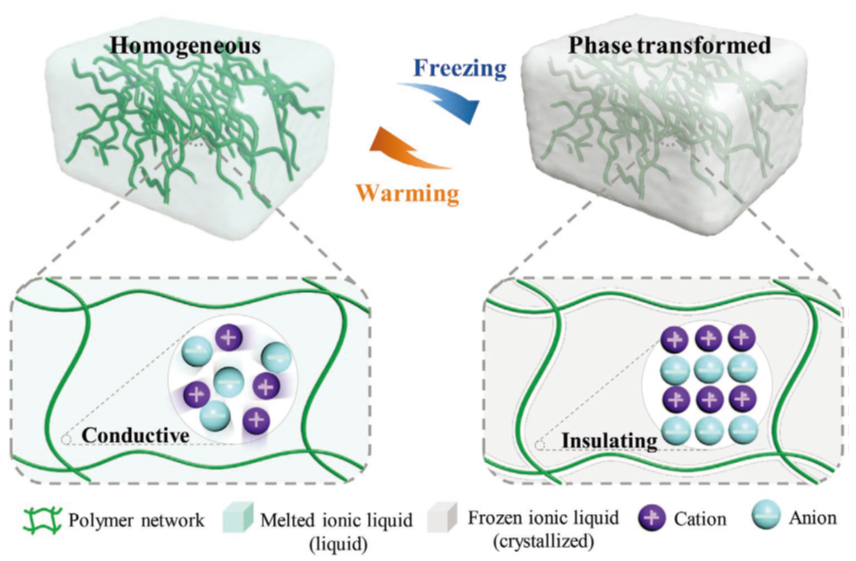 港中深朱世平、張祺團(tuán)隊(duì)AFM：基于相變離子凝膠的柔性可拉伸“離子開關(guān)”