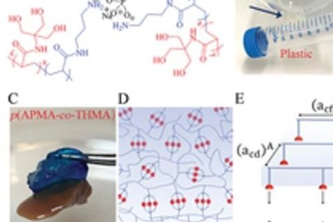 具有“分擔(dān)負荷”作用的粘性水凝膠，可作為組織繃帶用于藥物和細胞的輸送。