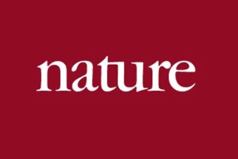 《Nature》：實現(xiàn)“不可能”！3D打印微型二氧化硅氣凝膠