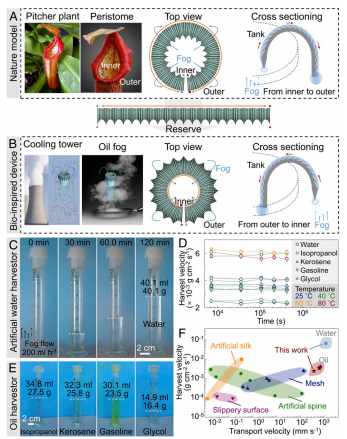 江雷院士、董智超《PNAS》：仿豬籠草結(jié)構(gòu)表面可在潮濕環(huán)境中連續(xù)收集和輸送水