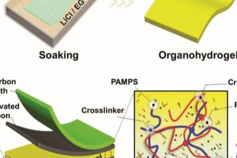 電子設(shè)備怕凍又怕燙怎么辦？中南大學(xué)《AFM》：長期抗凍抗干的柔性超級電容器！