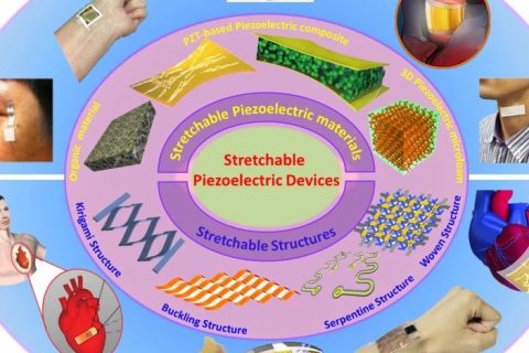西工大于慶民/PSU程寰宇、廖亞斌合作：新型可延展壓電材料最新進(jìn)展