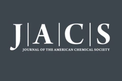 短的比長的好！鮑哲南院士《JACS》：基于新型多位點(diǎn)柔性高分子自組裝單元的納米纖維