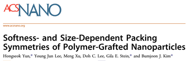 韓國科學(xué)技術(shù)院《ACS Nano》：手把手教你花樣制備納米粒子！