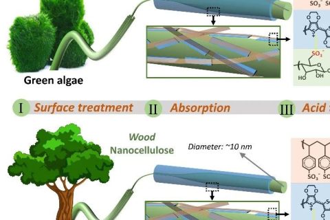 納米纖維素誘導制備高結(jié)晶度PEDOT納米纖維