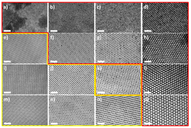 韓國科學(xué)技術(shù)院《ACS Nano》：手把手教你花樣制備納米粒子！