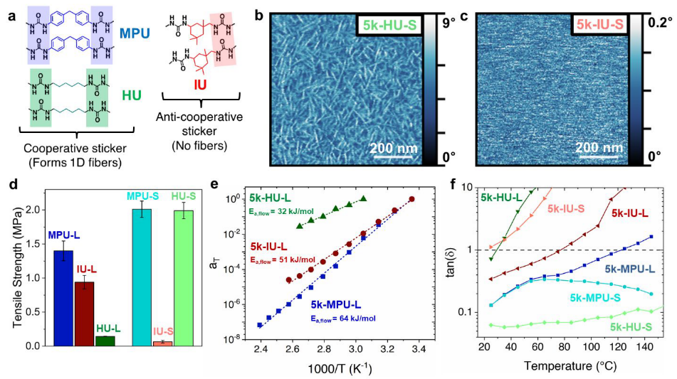 短的比長的好！鮑哲南院士《JACS》：基于新型多位點柔性高分子自組裝單元的納米纖維