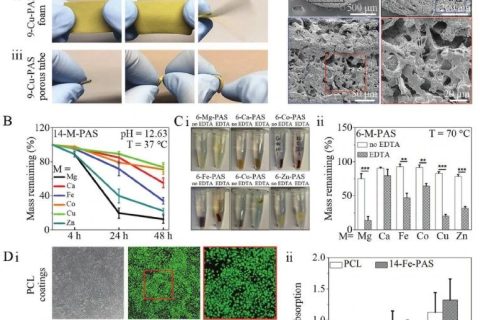 康奈爾大學王亞冬團隊《AM》：螯合交聯(lián)制備生物可降解彈性體