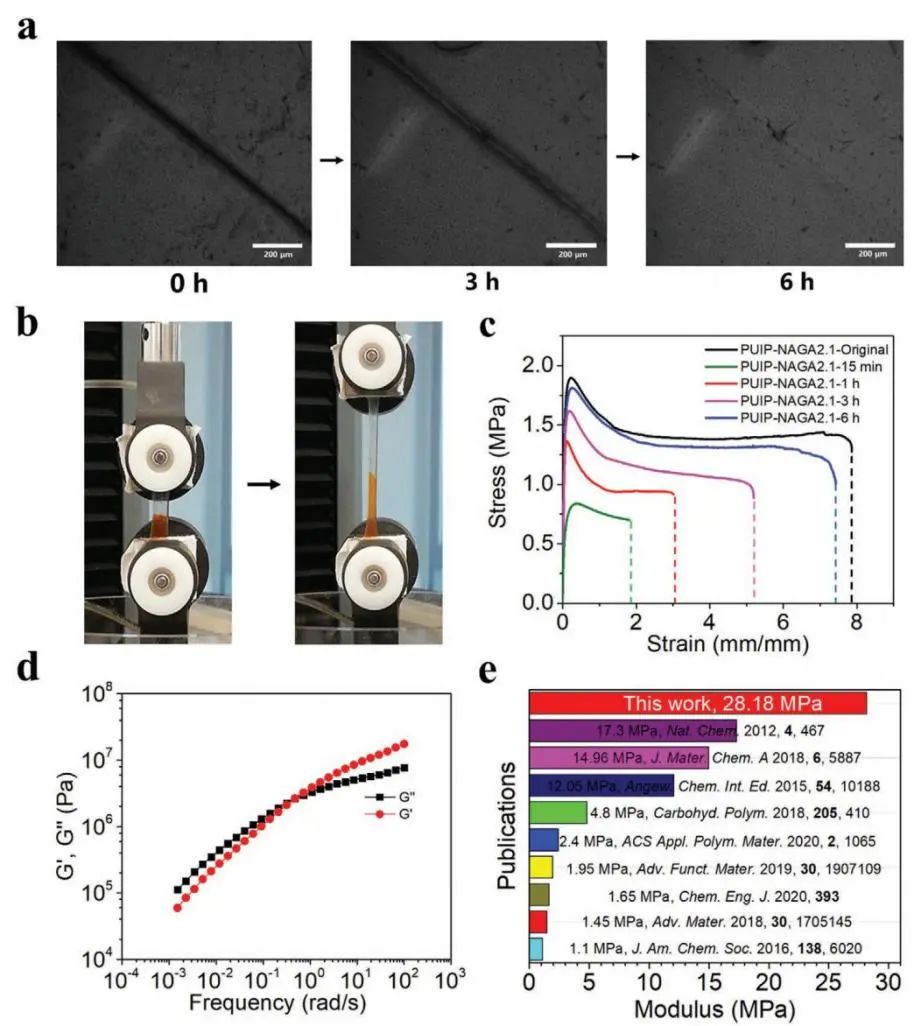 天津大學(xué)劉文廣教授、楊建海副教授團(tuán)隊(duì)《AFM》：基于多重氫鍵擴(kuò)鏈劑的自愈合聚氨酯：從超剛性彈性體到無(wú)溶劑型熱熔膠和AIE熒光涂層