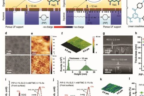 ?當前最高的離子截留率99.99%！《AFM》：超選擇性和高滲透性聚酰胺納米膜！