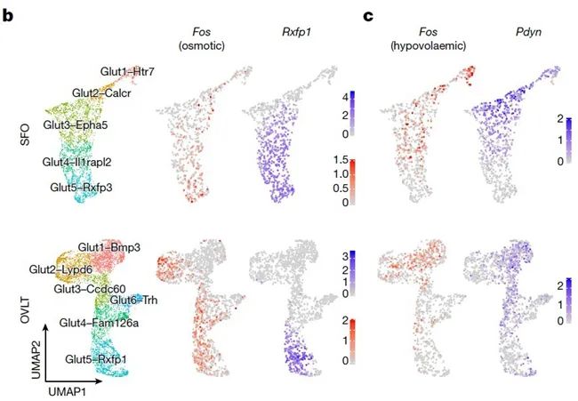 向優(yōu)秀看齊，南開大學(xué)本科生發(fā)《Nature》！