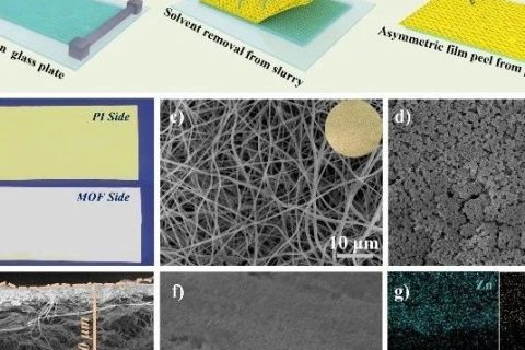 ?北京科技大學(xué)范麗珍教授團隊《AFM》：借助MOF層構(gòu)建非對稱聚合物固體電解質(zhì)用于鋰金屬電池