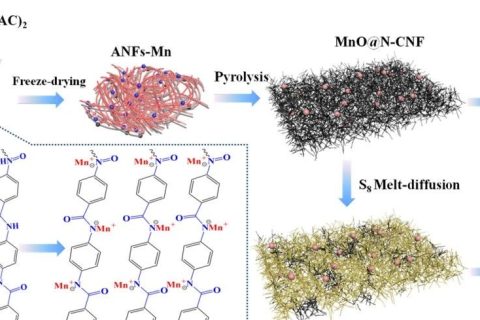 上海電力大學(xué)《JMCA》:如何簡(jiǎn)單有效地原位復(fù)合碳纖維和金屬納米顆粒？一種可用于超級(jí)電容器和鋰硫宿主的雙功能材料