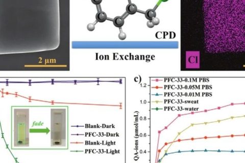 中科院福建物構所劉天賦《AM》：氫鍵有機骨架應用新突破！可用于離子響應型抗菌膜！